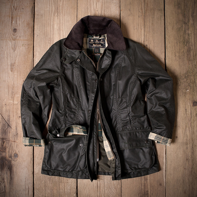   Barbour   