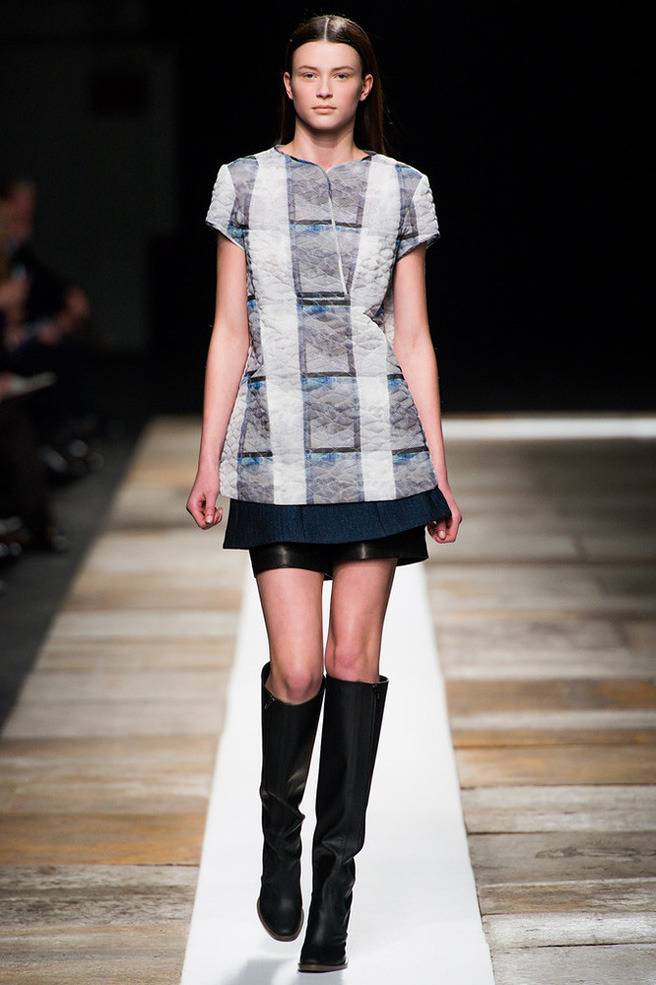 Theyskens' Theory / 2013-14